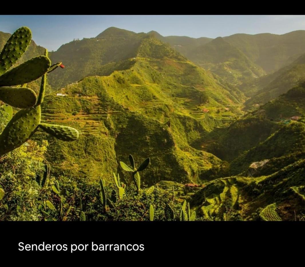 Playa Benijo Paraiso Rural Trail Santa Cruz de Tenerife Eksteriør billede